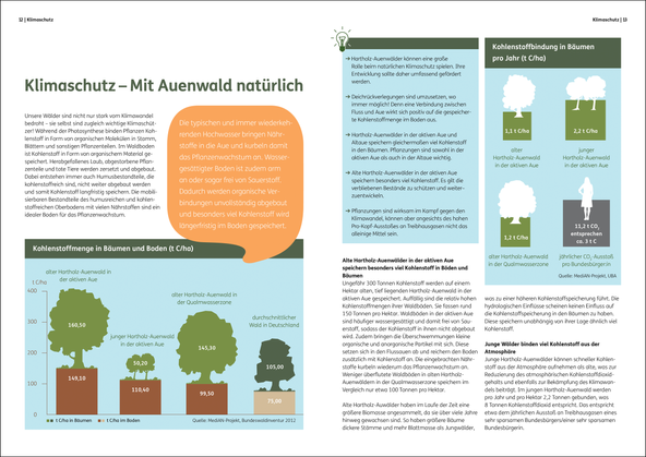 BUND Broschüre Warum wir mehr Auenwälder brauchen Cover Doppelseite mit Diagrammen
