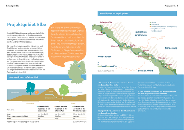BUND Broschüre Warum wir mehr Auenwälder brauchen Doppelseite