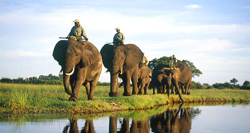 The Okavango Delta