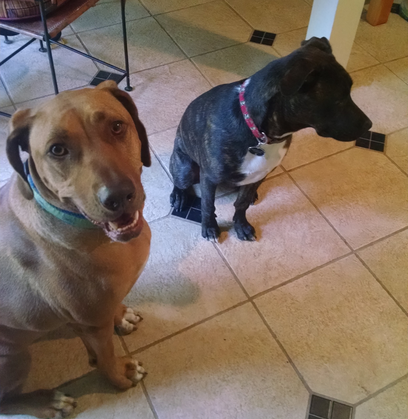 Swayze & Rudy