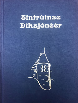 afbeelding omslag Sintrùinse Diksjónèèr blauw