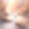 IMG_2463_edited.jpg
