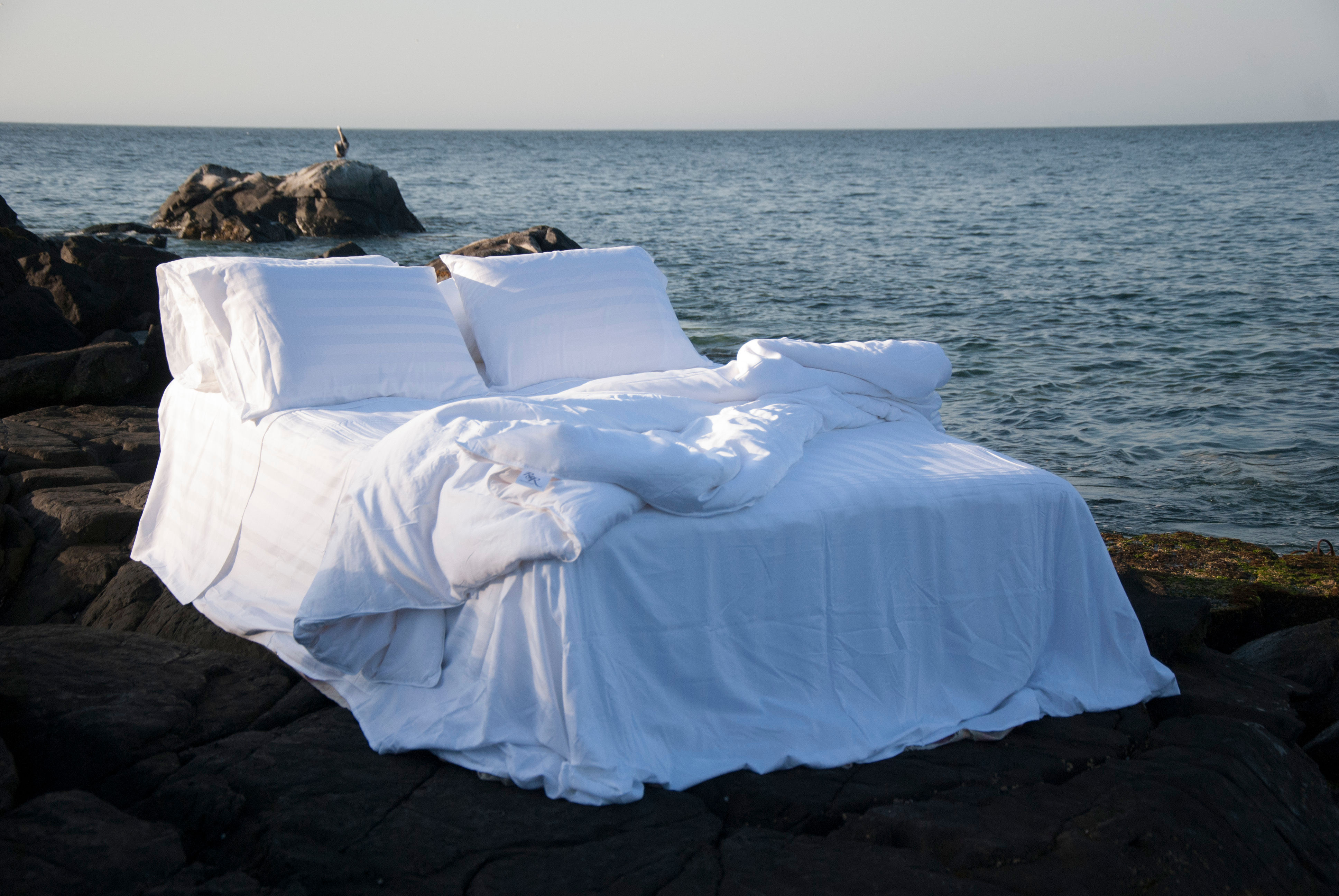 Plumón de Seda  Queen/King Largo