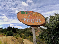 IMG_20201028_094019-01