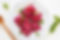 Beet Ravoli copy.jpg
