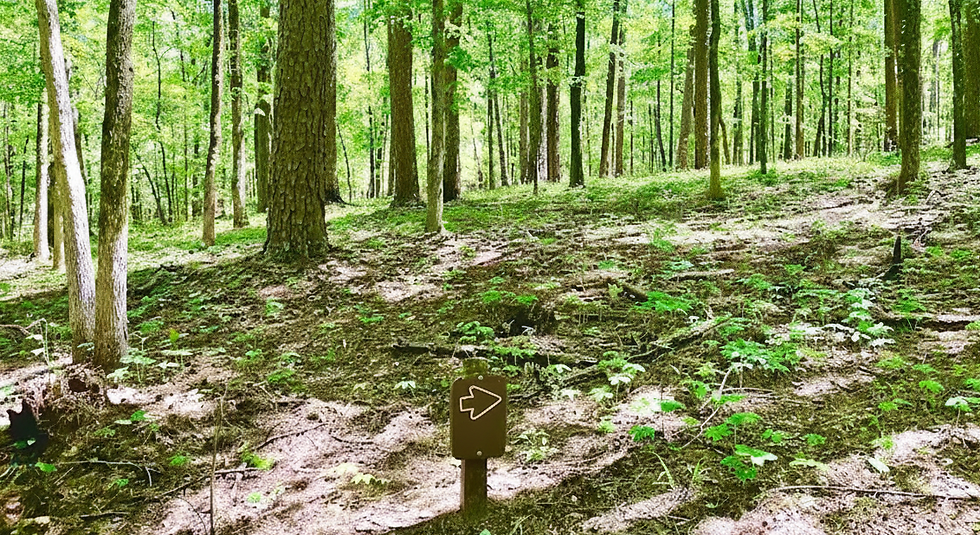 Hiking trail near Lake DeGray in Arkansas
