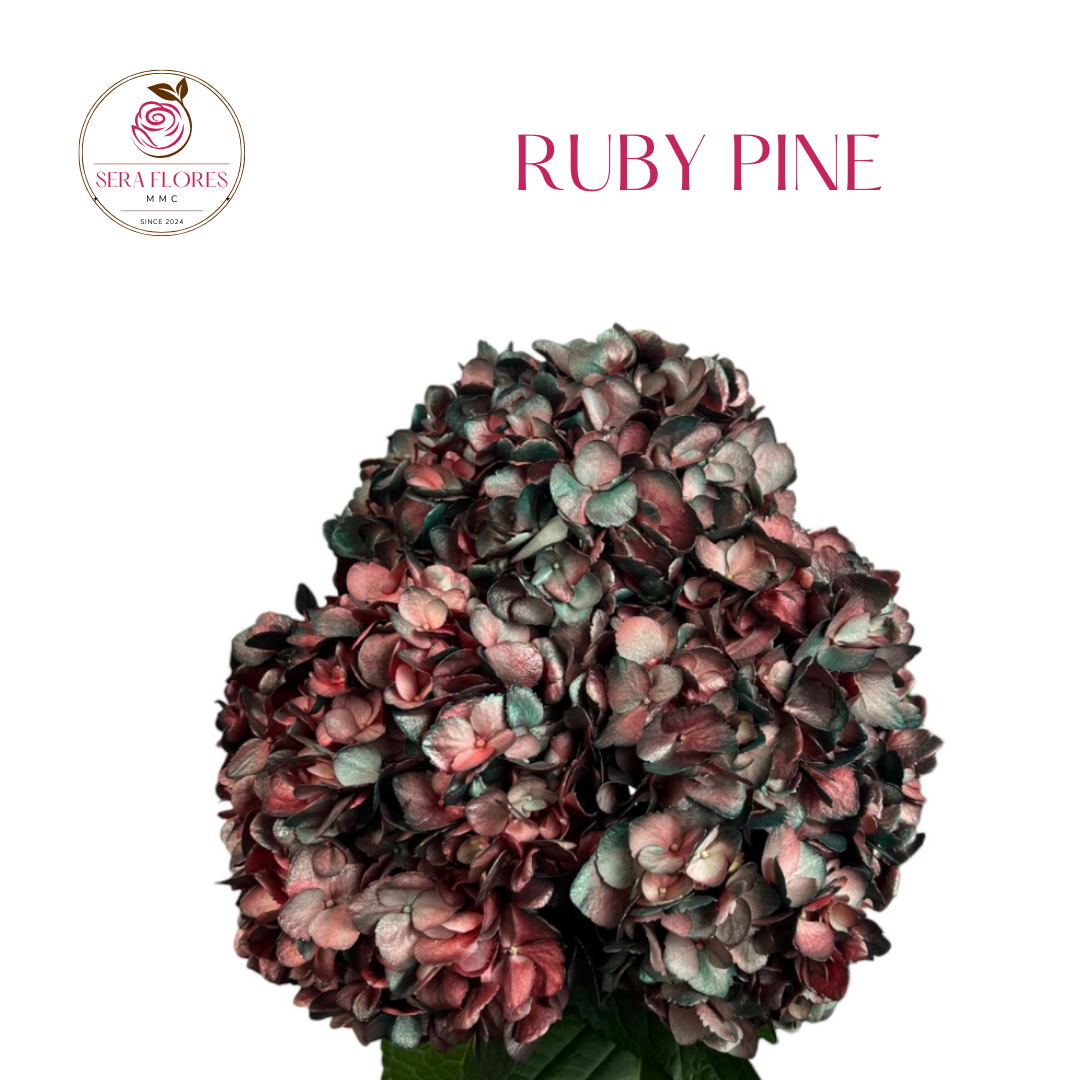 RUBY PINE