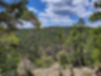 Walnut Canyon View