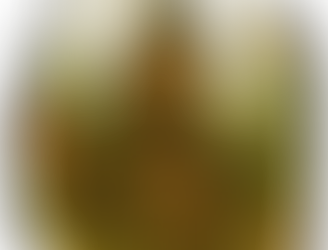 atelier cartonnage, aquarelle, contes, sigil