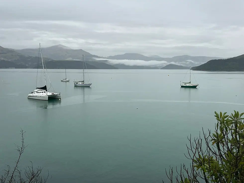 Sailboats anchored in a calm harbour with misty mountain backdrop — wealth management Sydney Australia