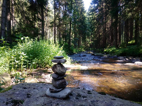 WhatsApp Image 2026-02-22 at 11.17.28-8.jpeg