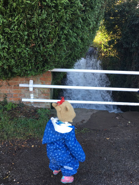 Reconnecting & Restoring