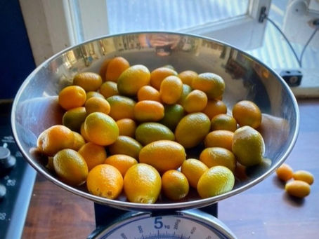 No waste citrus cake