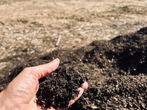 Digging into the soil of Los Angeles