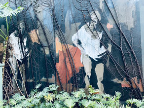 Street art travels