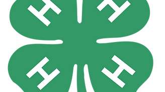 4h-logo-png-transparent.png