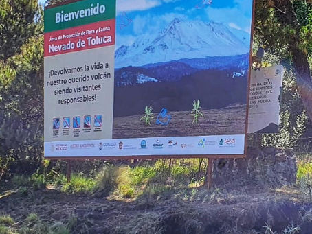 REAPERTURA DEL NEVADO DE TOLUCA