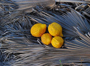 Citrons