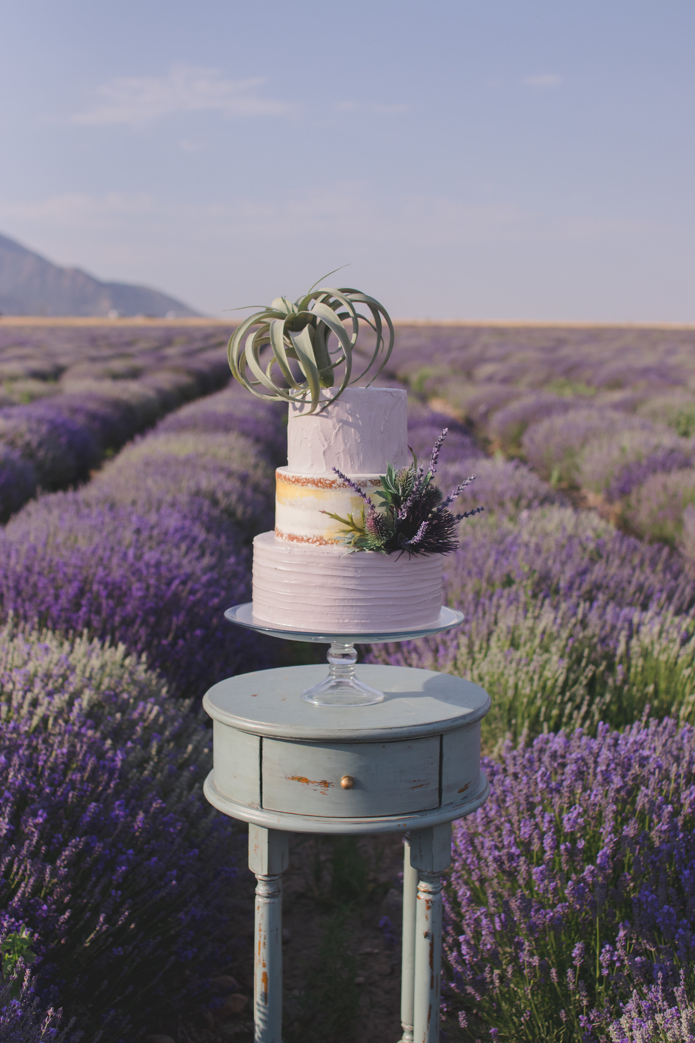 Mona Lavender Fields Cake