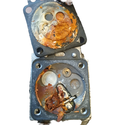 IMG-20250704-WA0006 (1)_edited.png