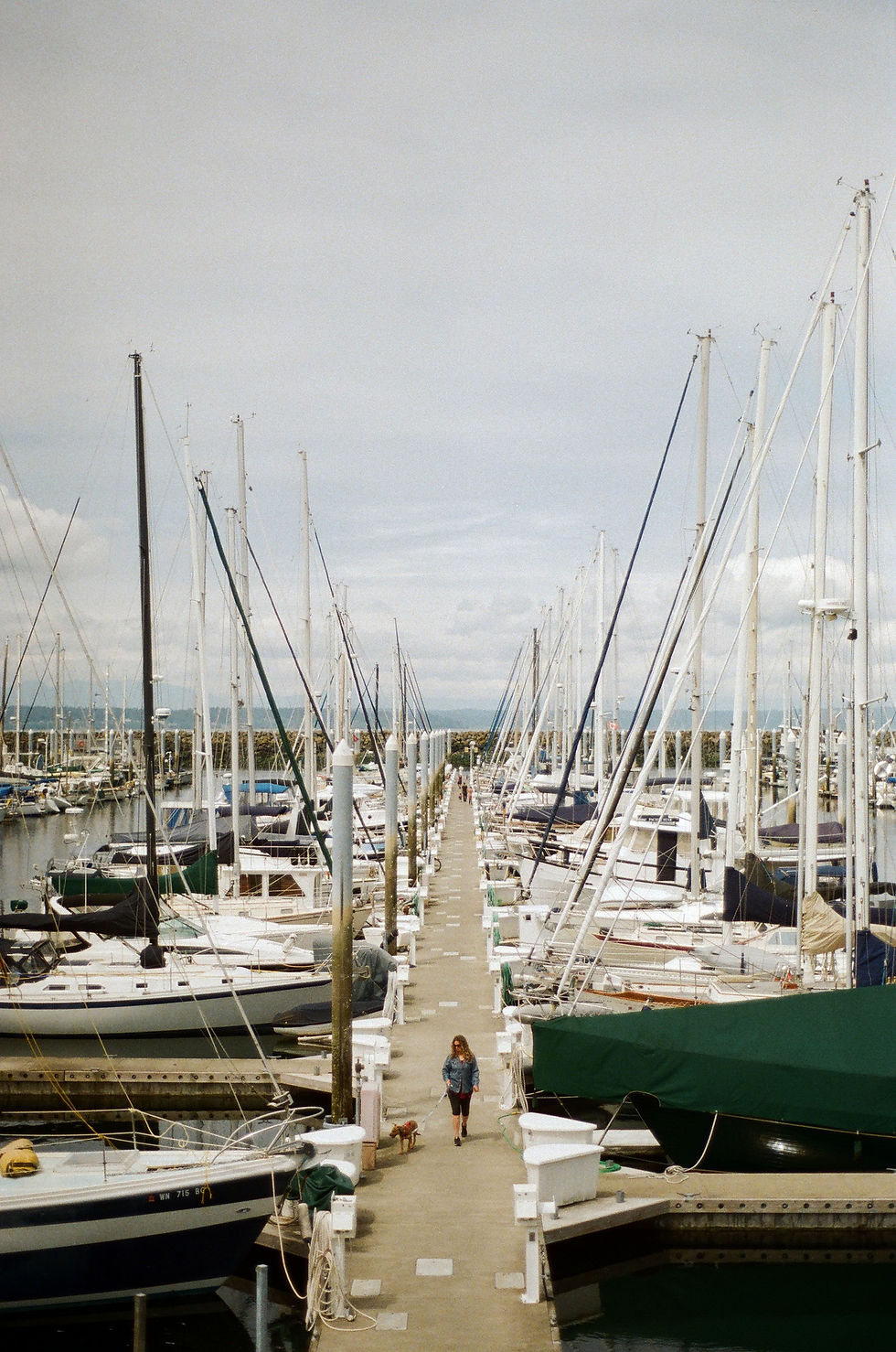 Seattle, Washington (2020)