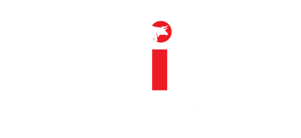 Maxione Logo(on black background)-01.png