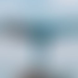 The Balancing Act of Growth