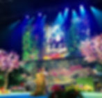 VideoSupport for Redoma 2015