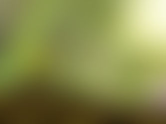 The Seed Principle (Seedtime & Harvest)