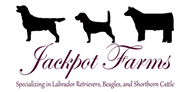 Full Logo Transparent (2).png