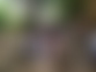 Meio ambiente e educação ambiental