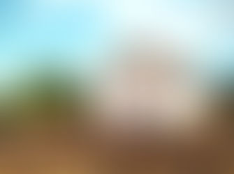 Pará dos Vilelas: o ambiente de Sarapalha