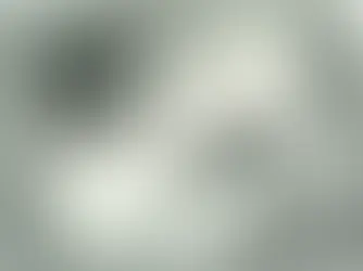 A metalinguagem e a liberdade num domingo de chuva e versos de Adélia Prado