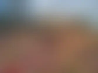 BH faz o maior carnaval da história; no interior, a festa perde público