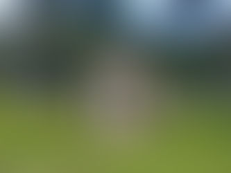 Gruta de Nossa Senhora de Lourdes