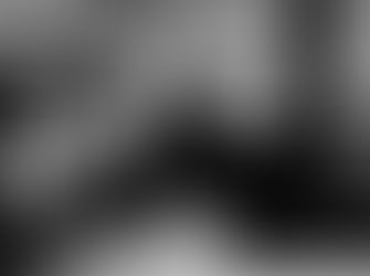 O Legado do Educador que Transformou a Educação Brasileira e Mundial