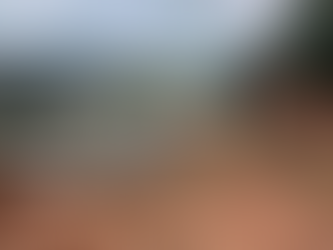 Itaguara e Crucilândia estão entre as 106 cidades de MG que decretaram situação de emergência pelas chuvas