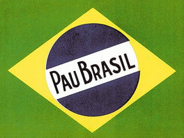 Brasil: uma terna miragem?