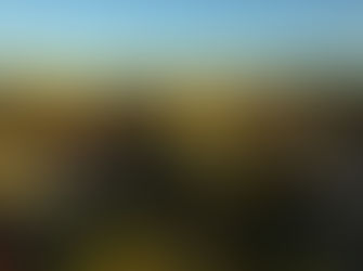 Prefeitura de Crucilândia publica informativo e destaca ações realizadas em 2022