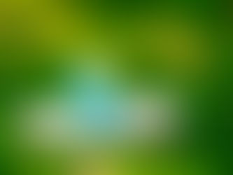 Um “lugar” no mundo