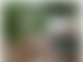 Racismo ambiental e climático: um debate necessário