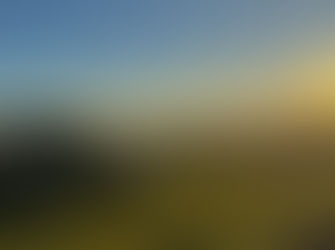 Carta Aberta às Cidadãs e Cidadãos Itaguarenses