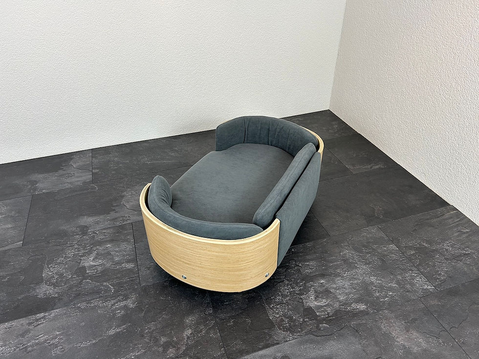 Miniaturbild: Sofa Katze