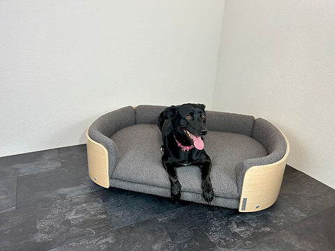 Hunde und Katzensofa PFOTE L | PFOTE grosses Hundebett kaufen
