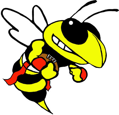 crazy bees gif