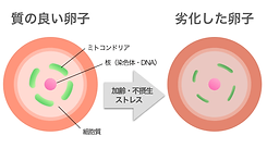 img01.png