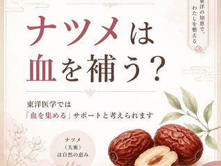 ナツメは「血を補う」だけではない?東洋医学から見るナツメの働き