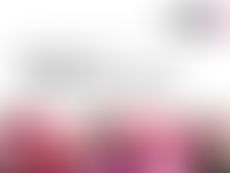 Grafik mit der Überschrift „Icons & Issues: Michelle & The Real Housewives“, darunter mehrere pinkfarbene Bilder, darunter Michelle Obama mit Mikrofon sowie Szenen im Reality-TV-Stil.