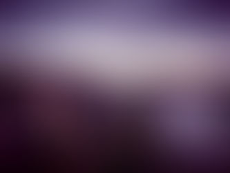 Menschen stehen auf einer Dachterrasse bei Sonnenuntergang und unterhalten sich; im Hintergrund ist die Berliner Skyline mit dem Reichstagsgebäude zu sehen, daneben ein „Frauen100“-Schild und Blumendekoration.