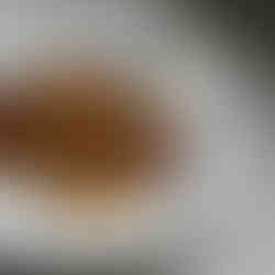 לברק בטאבון על מצע כרישה ועגבניות בצלחת